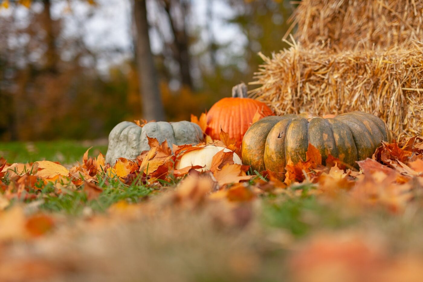 Simple table settings for thanksgiving